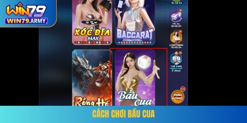 Cách chơi bầu cua
