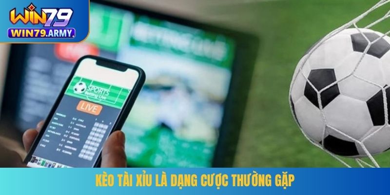Kèo tài xỉu là dạng cược thường gặp